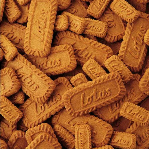 Lotus Galletas Biscoff 92g